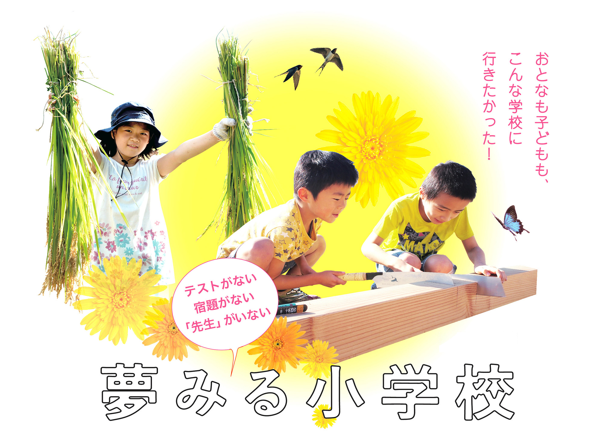 夢みる小学校 ミライの 公教育 がここにある 希望あふれる 教育変革ドキュメンタリー